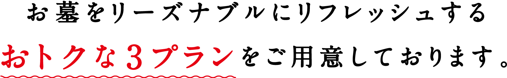 お墓をリーズナブルにリフレッシュするおトクな3プランをご用意しております。